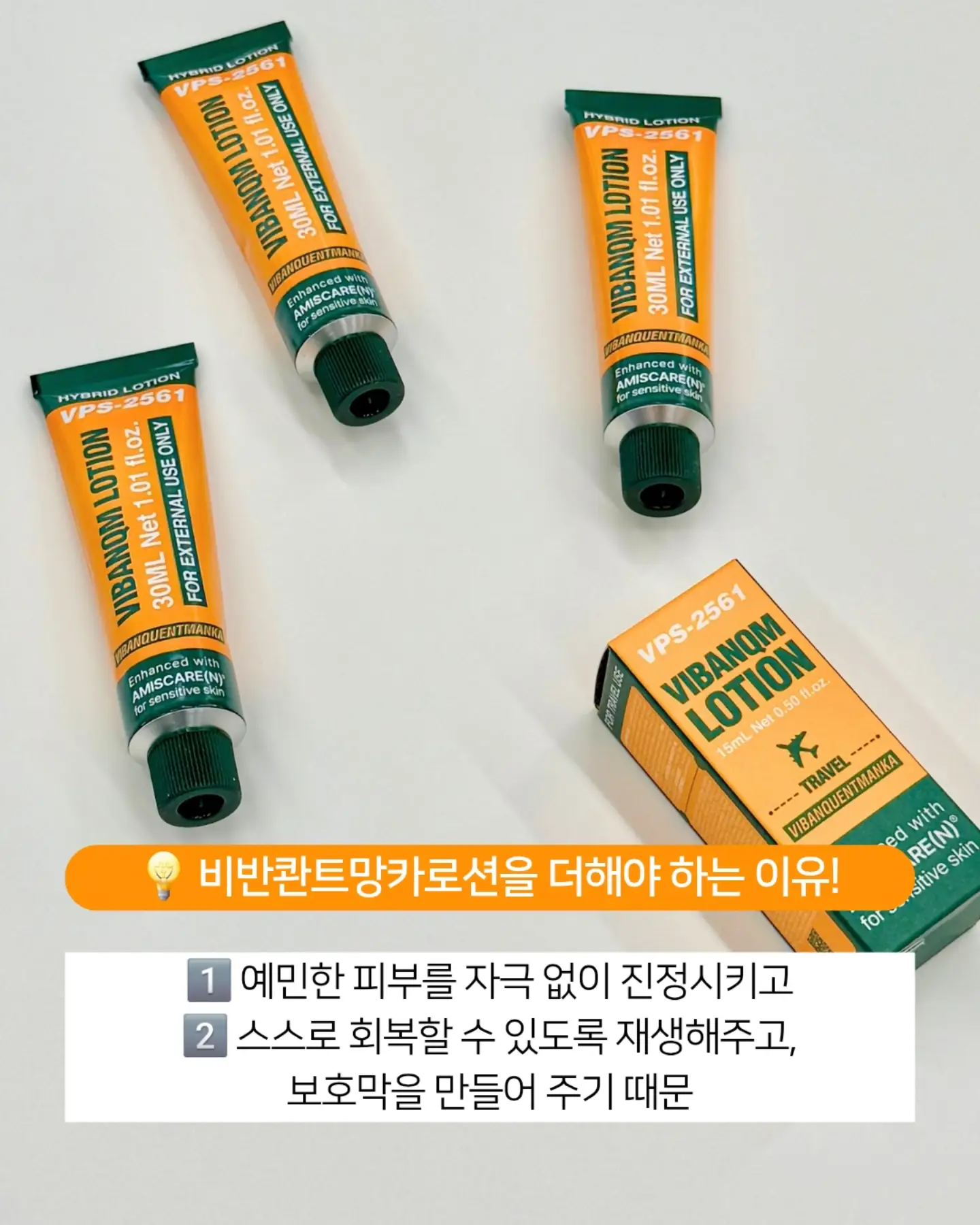 피크닉 세트 대여 3