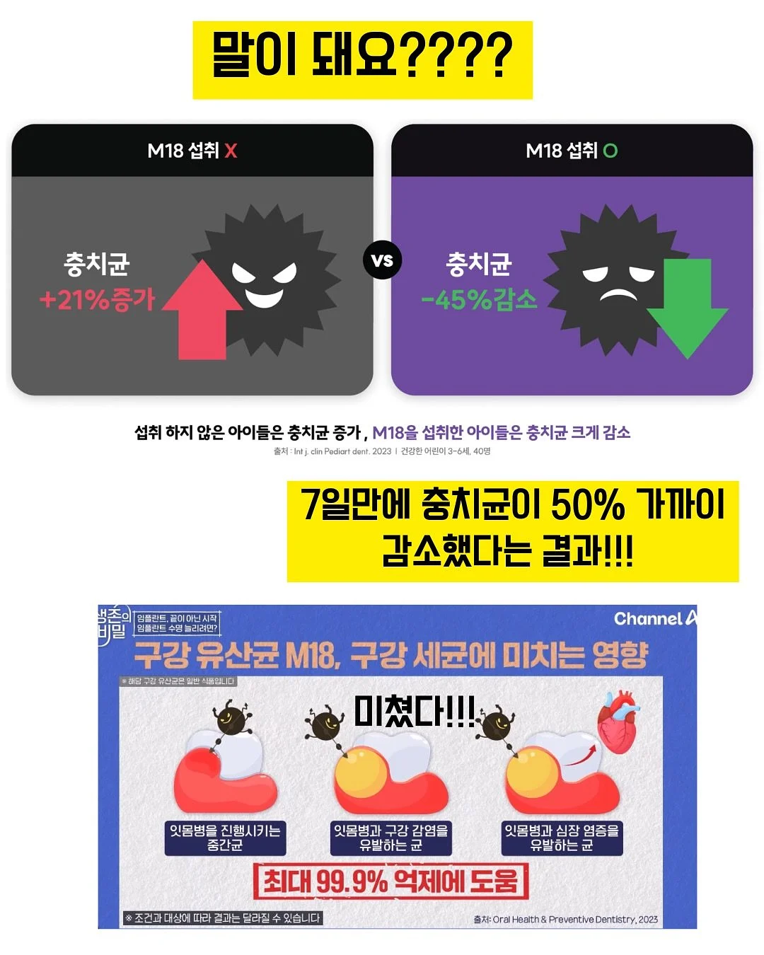 부라타치즈 2