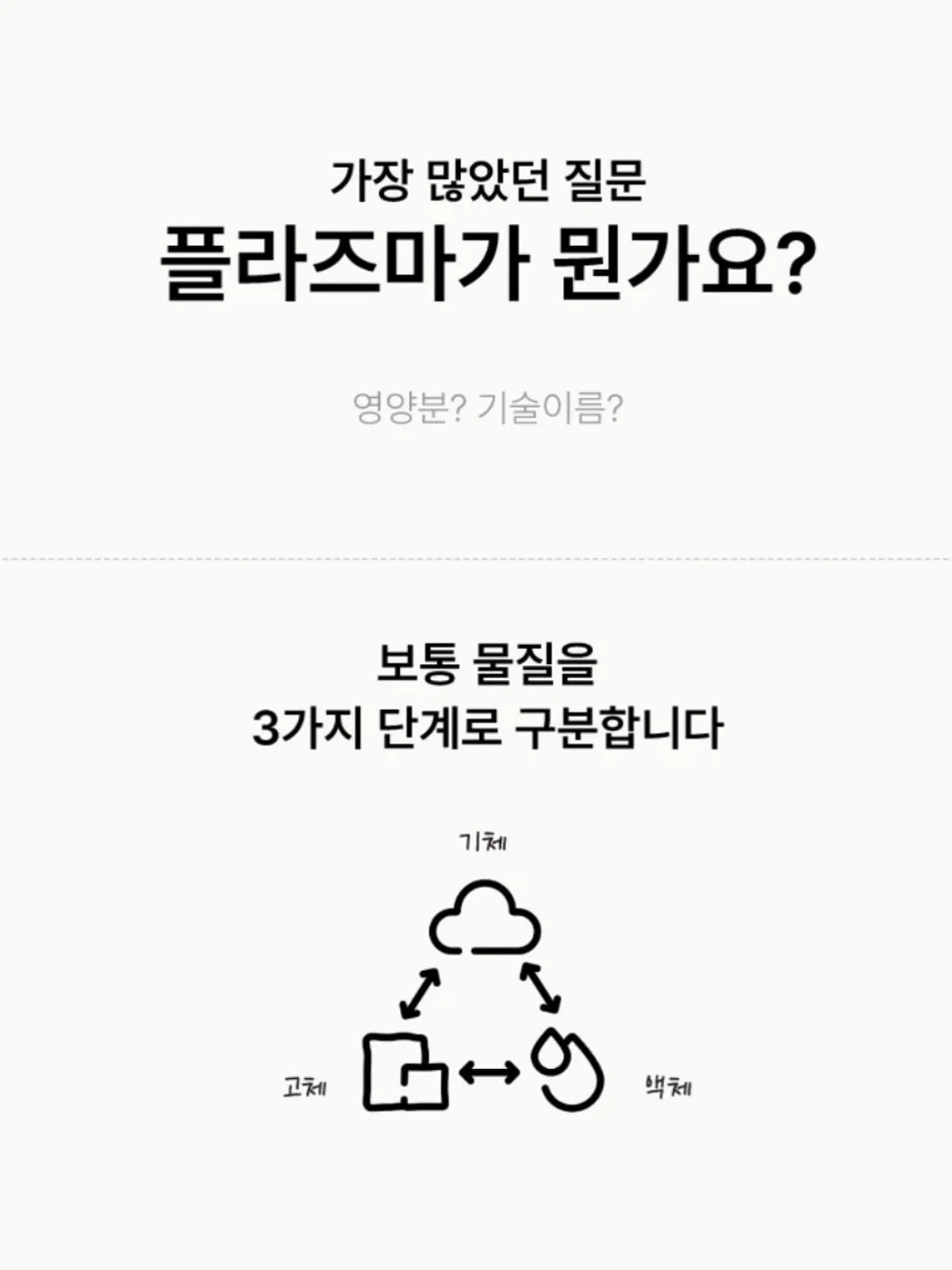 아일렛 블라우스 7