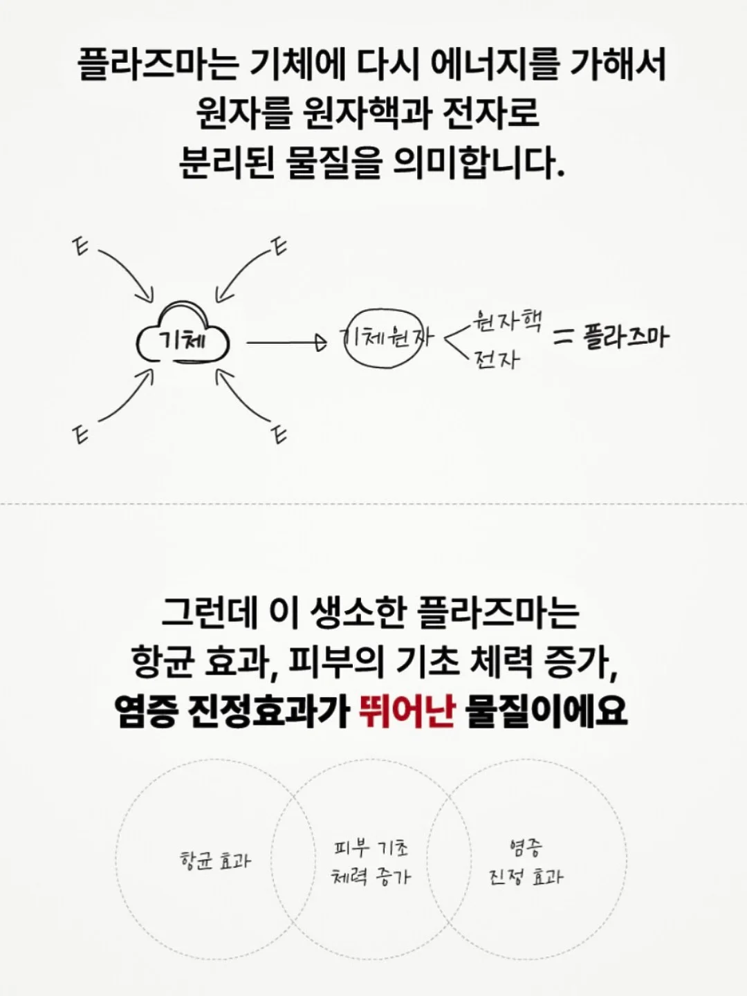 아일렛 블라우스 8
