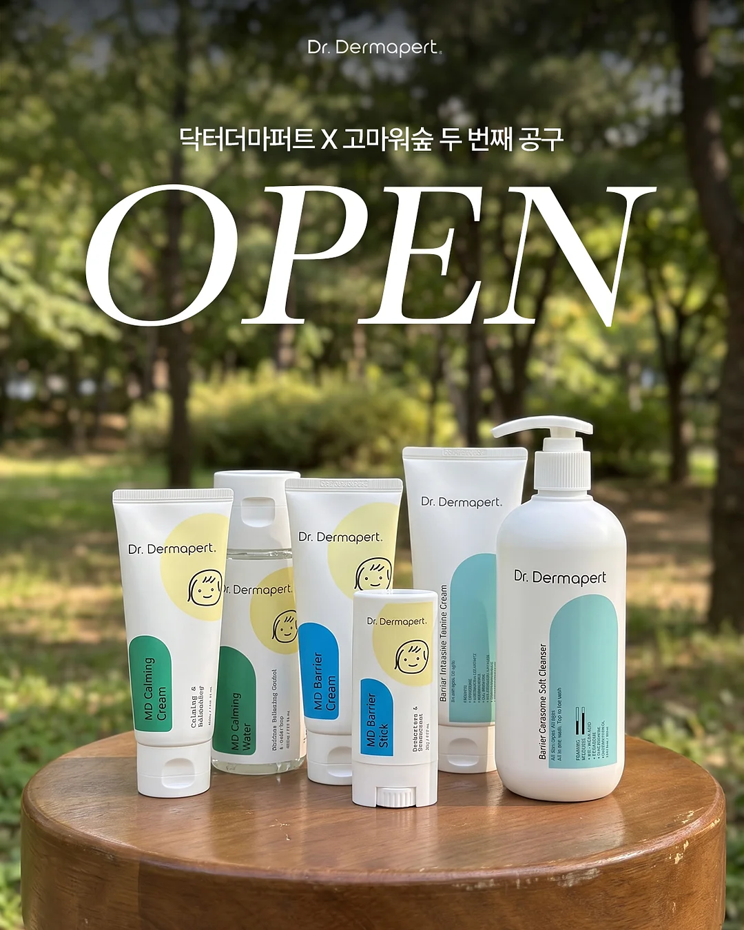 맞춤 폴더 매트 1