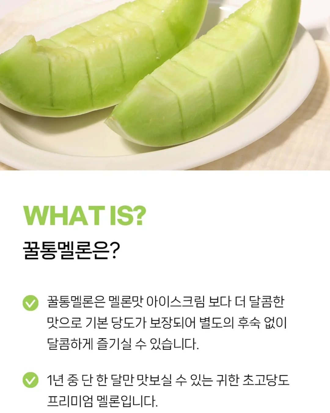 오가본 씨앗품은 데일리 안심 선쿠션 11