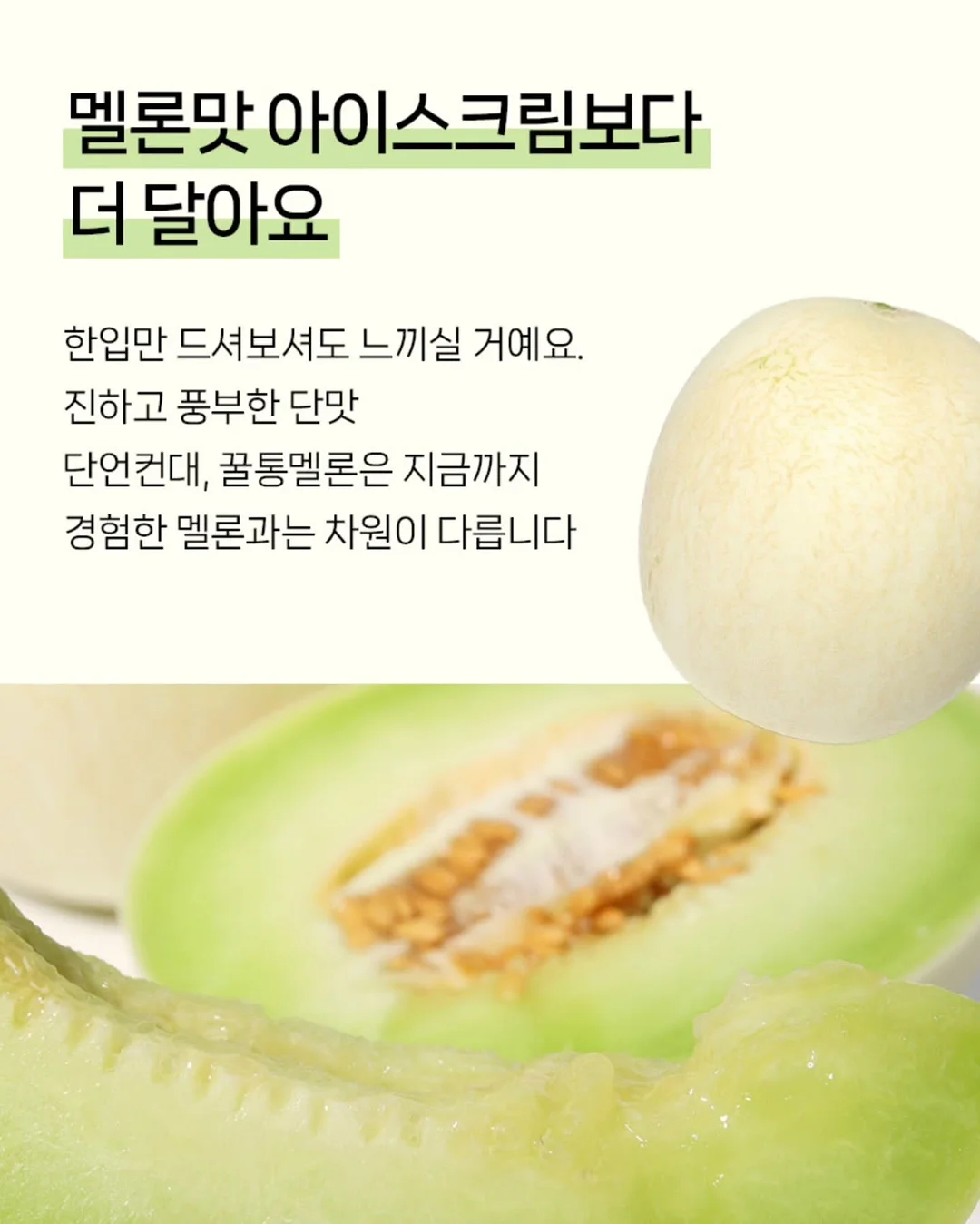 오가본 씨앗품은 데일리 안심 선쿠션 12