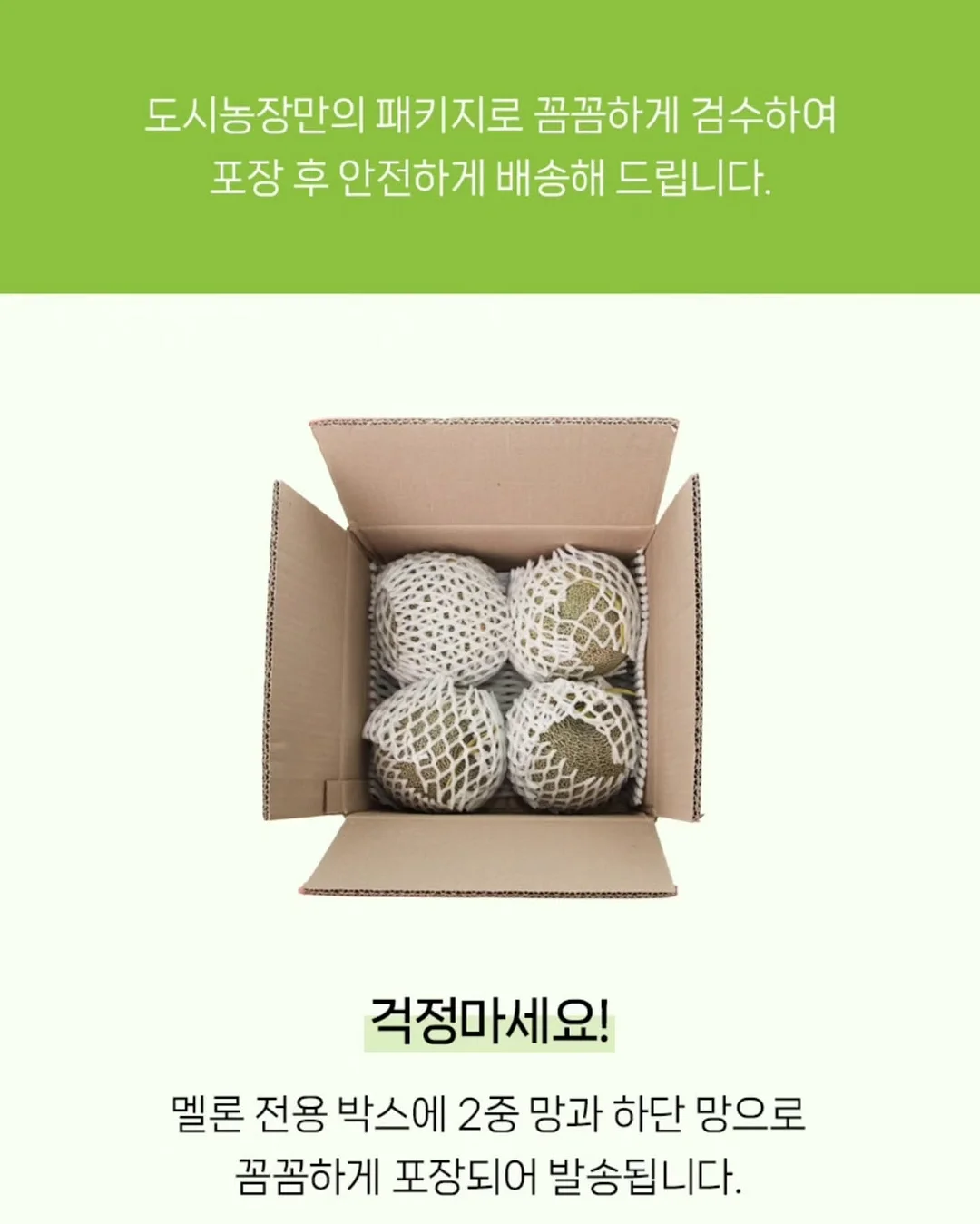 오가본 씨앗품은 데일리 안심 선쿠션 18
