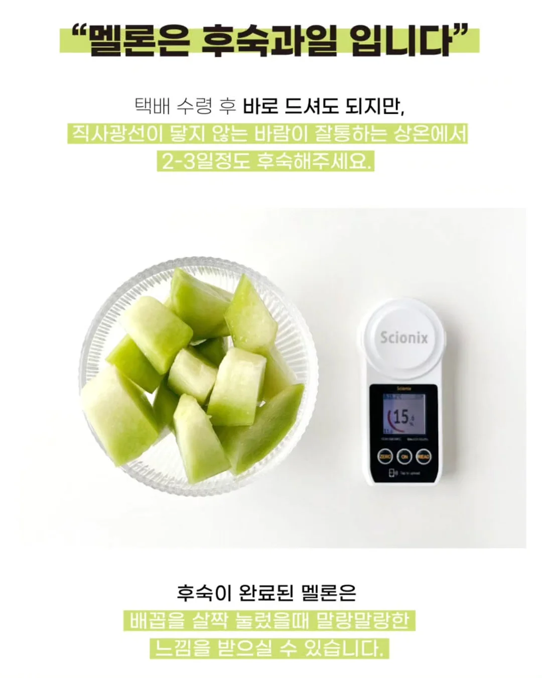 오가본 씨앗품은 데일리 안심 선쿠션 19