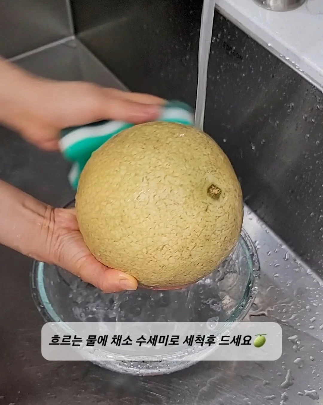 오가본 씨앗품은 데일리 안심 선쿠션 5