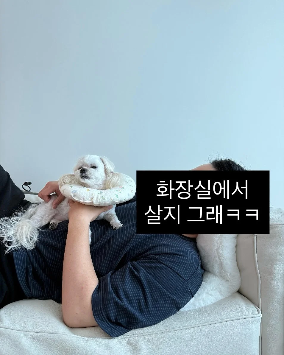 시원스쿨 X AI 산타토익 2년 합작 지원 프로그램 2