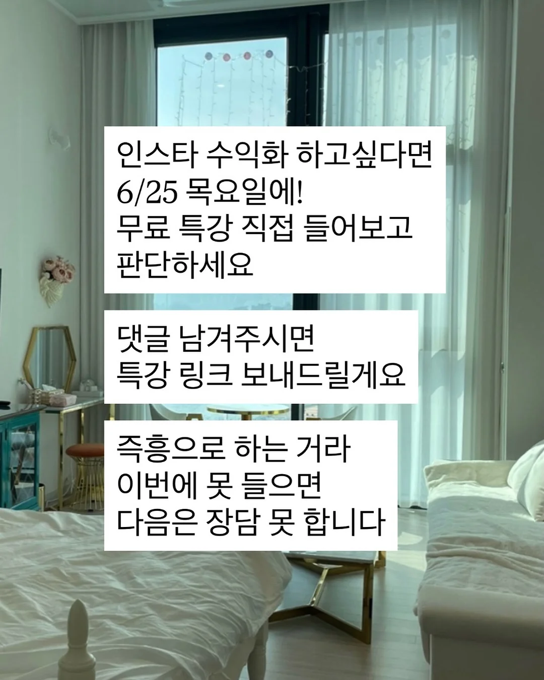 카시나 델리 울리비 벨로티 비앙코 2021 13