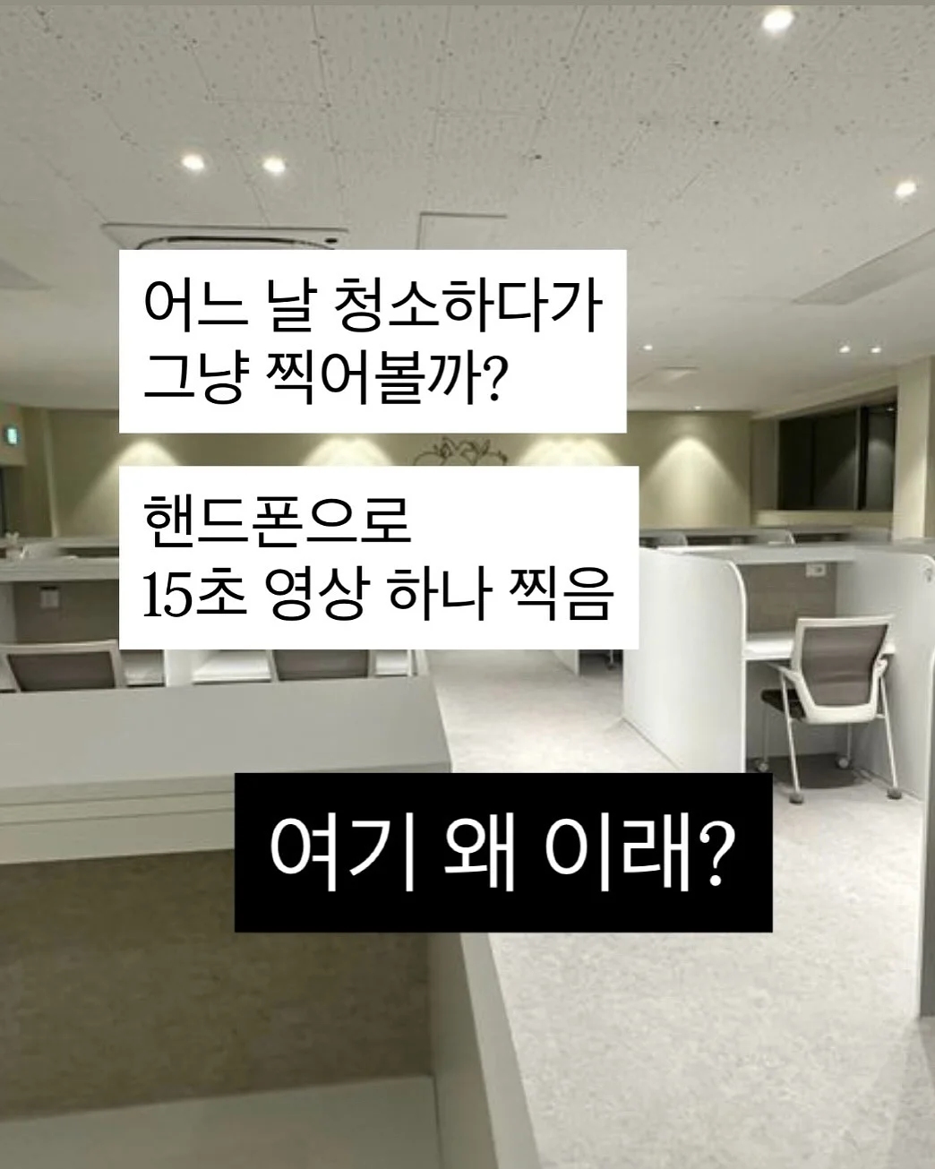 카시나 델리 울리비 벨로티 비앙코 2021 7