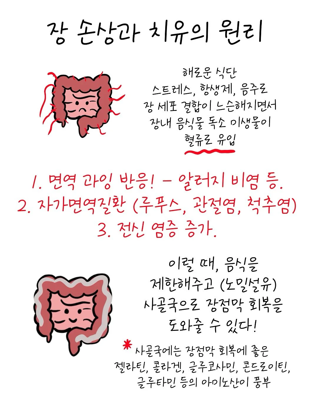 네잎클로버 플러피 미니화분 11