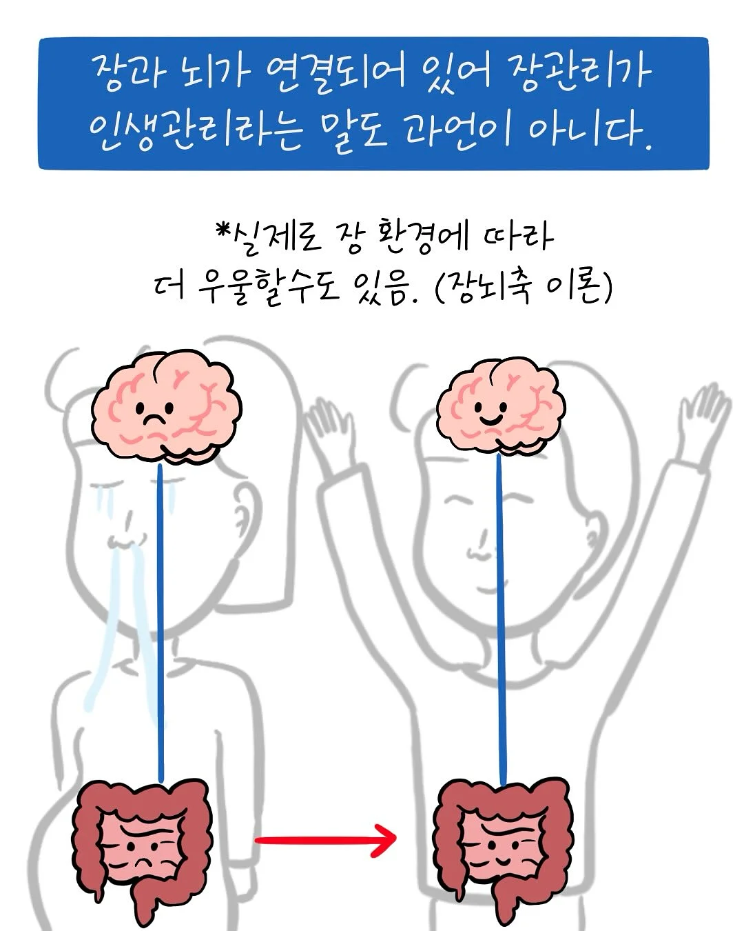 네잎클로버 플러피 미니화분 12