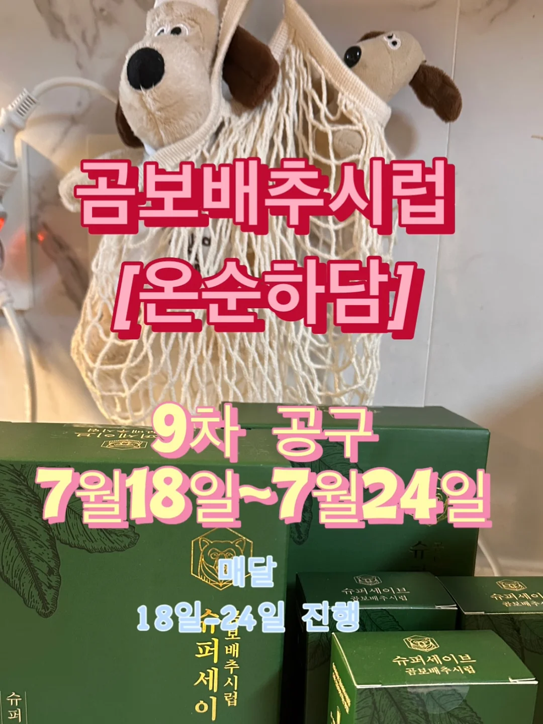 나시 니트