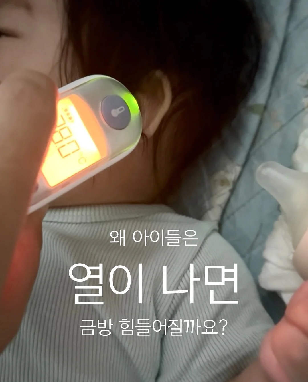 자동차 시트커버 2