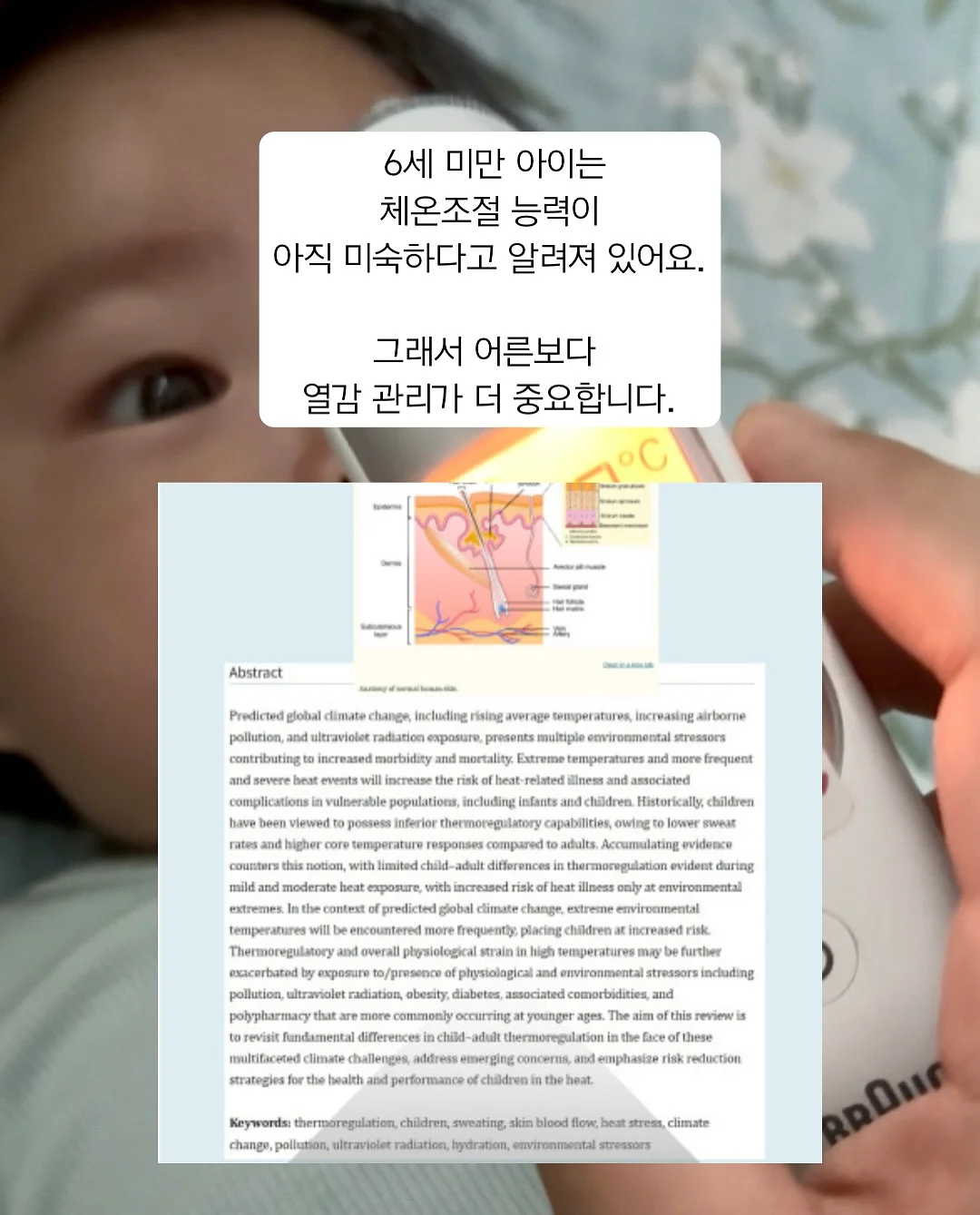 자동차 시트커버 3