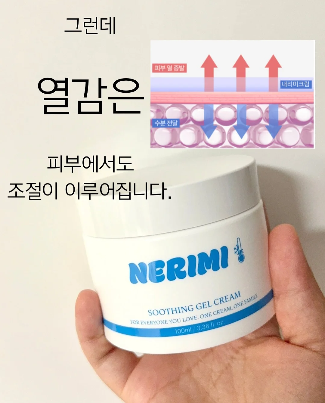 자동차 시트커버 4