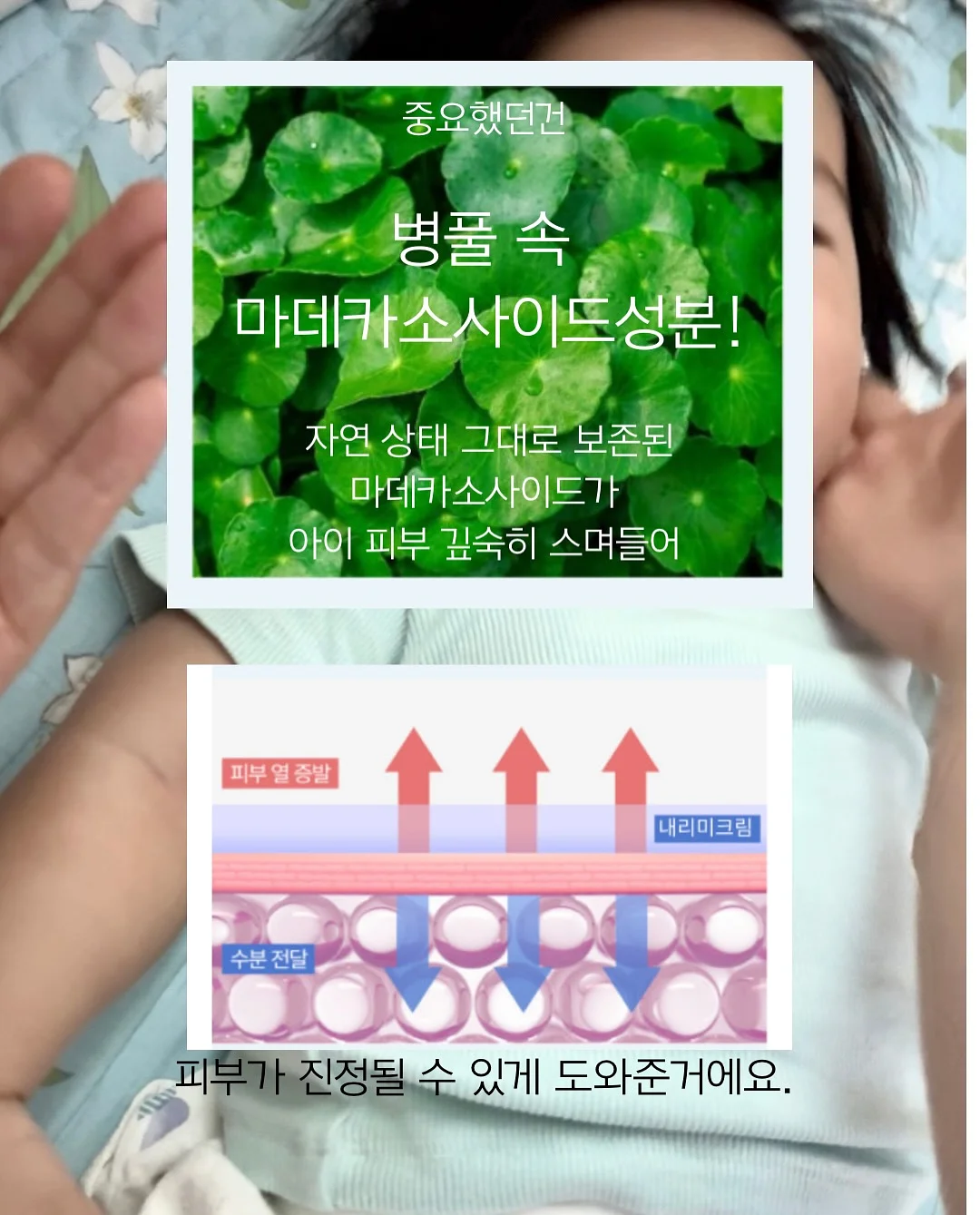 자동차 시트커버 8