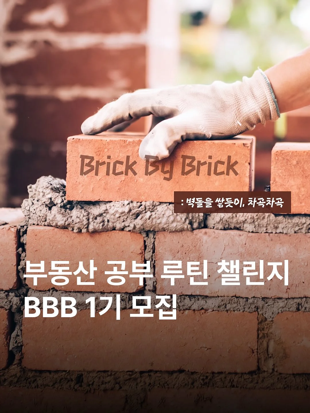 키움정 멀티비타민 미네랄 구미젤리 1