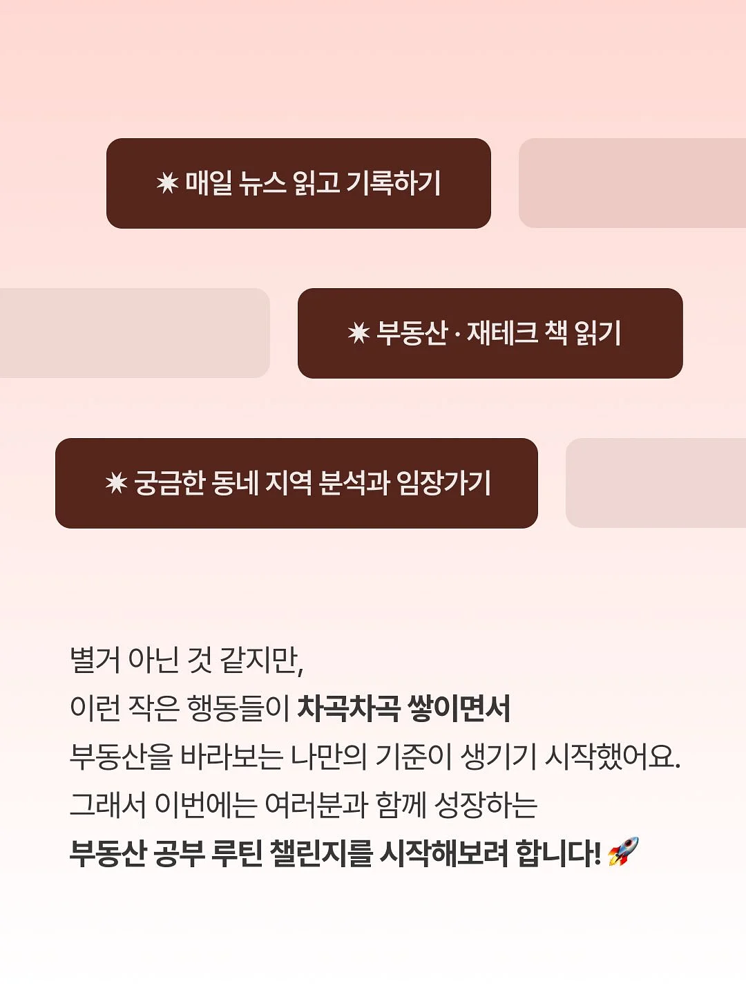 키움정 멀티비타민 미네랄 구미젤리 3