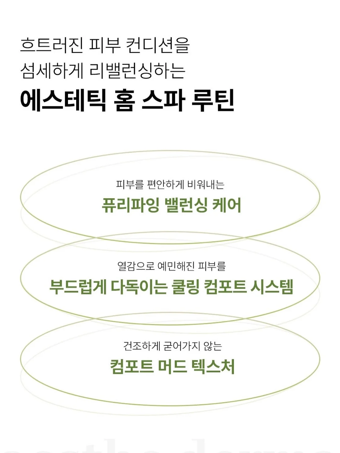 하트 모양 다육이 11
