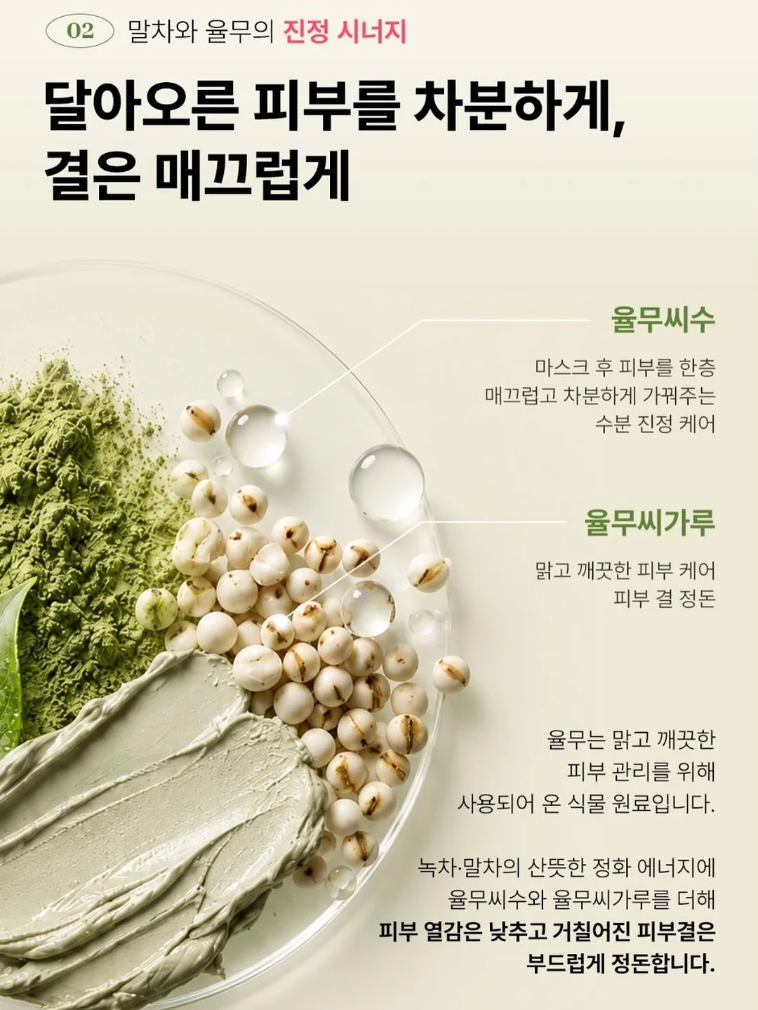 하트 모양 다육이 15
