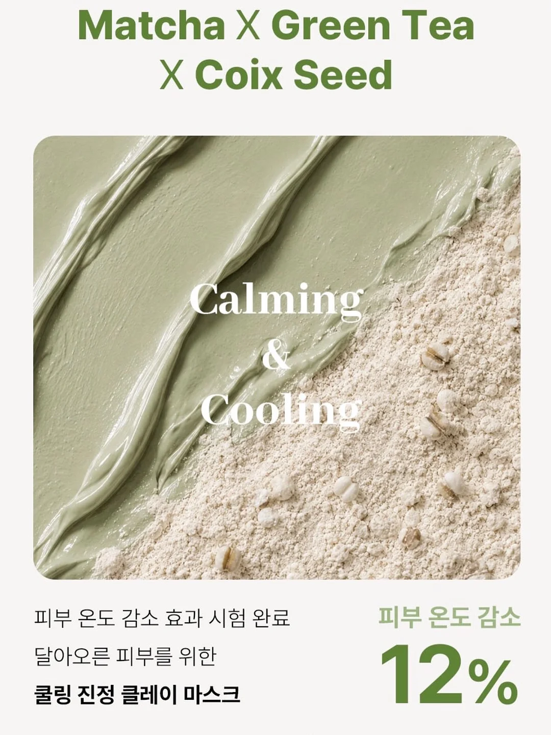 하트 모양 다육이 16