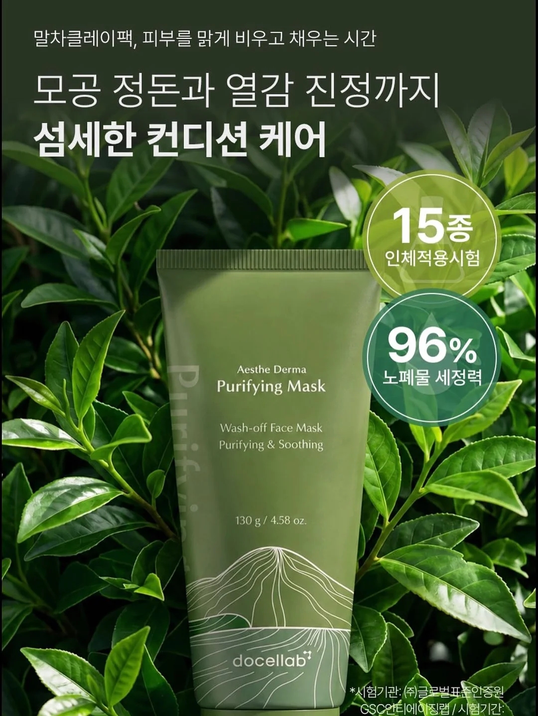 하트 모양 다육이 6
