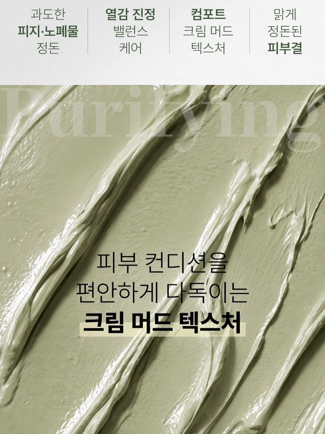 하트 모양 다육이 7