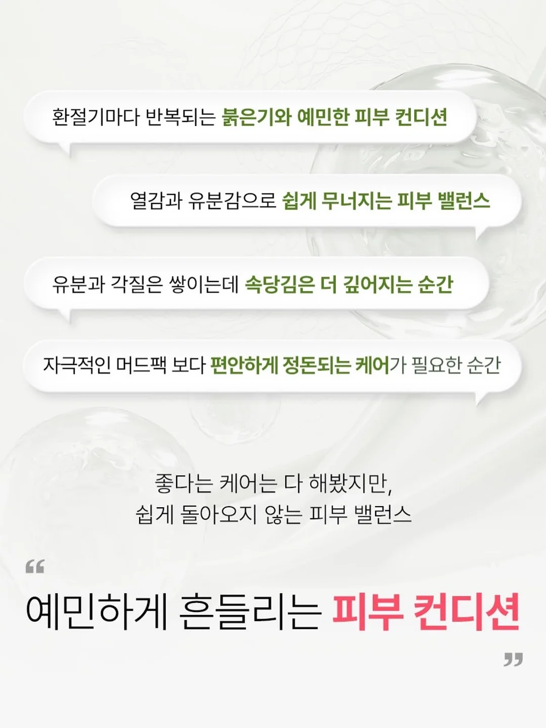 하트 모양 다육이 8