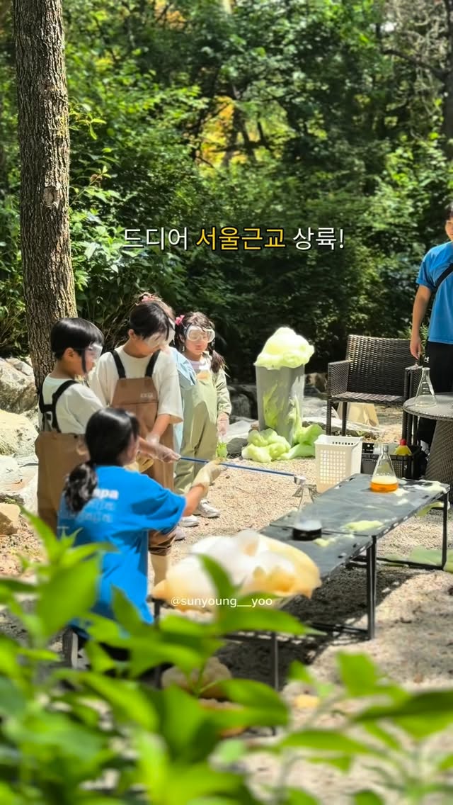 단종애사