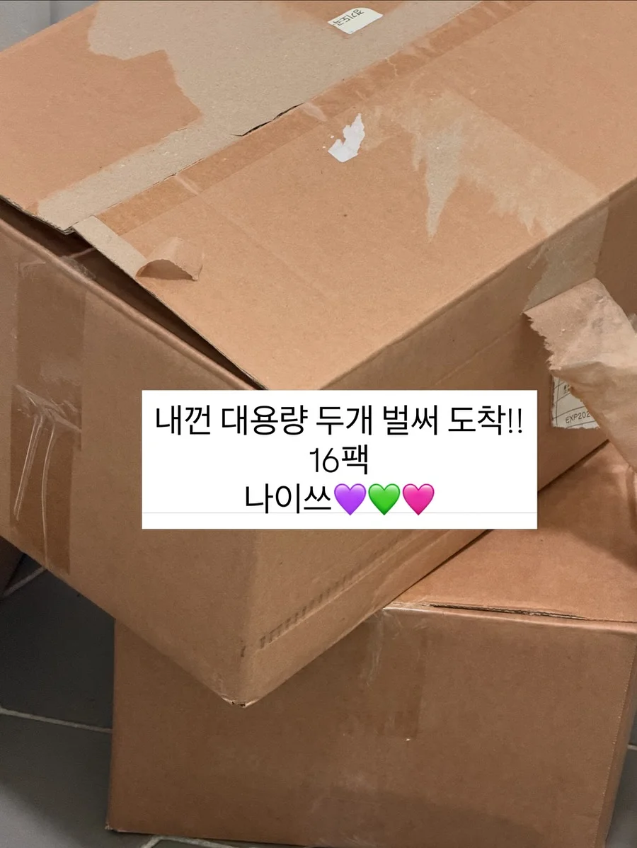 릴스 기획 11