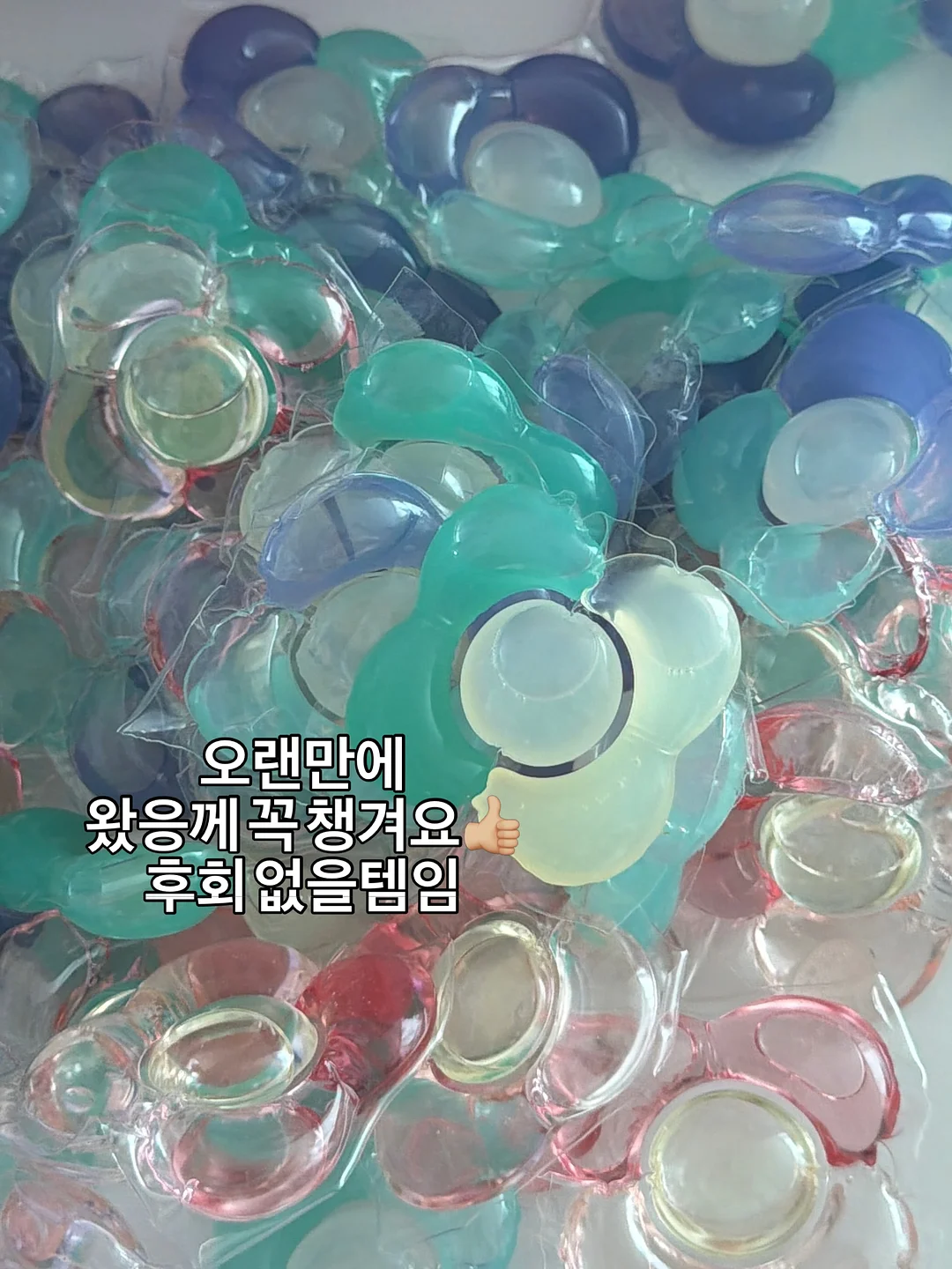 릴스 기획 20