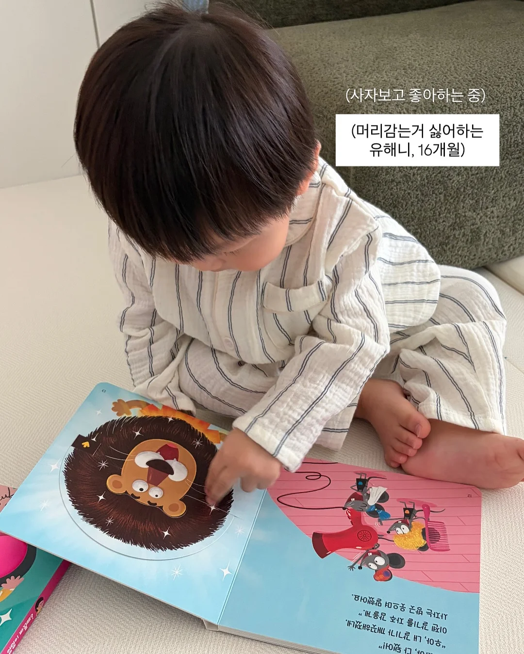 고양이 슈트 15