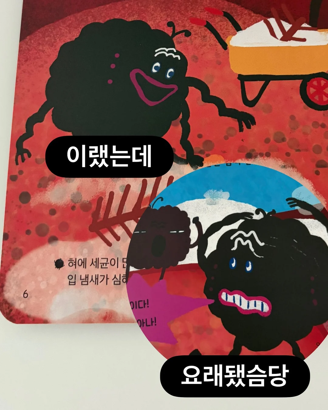 고양이 슈트 17