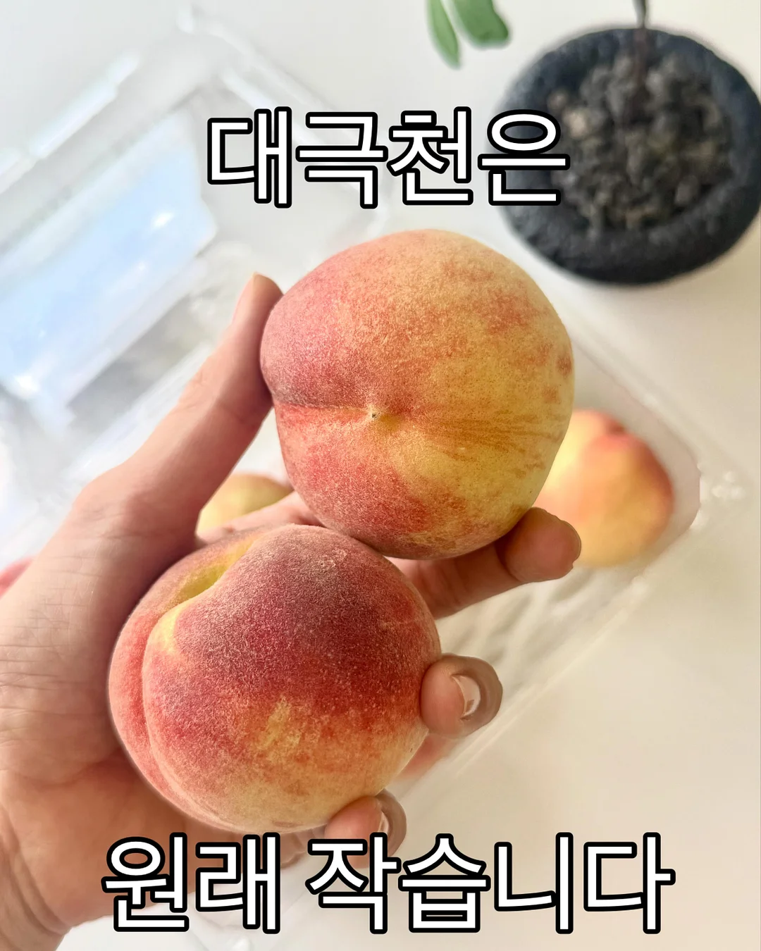 브리즈 산리오 키티 슬립온 1