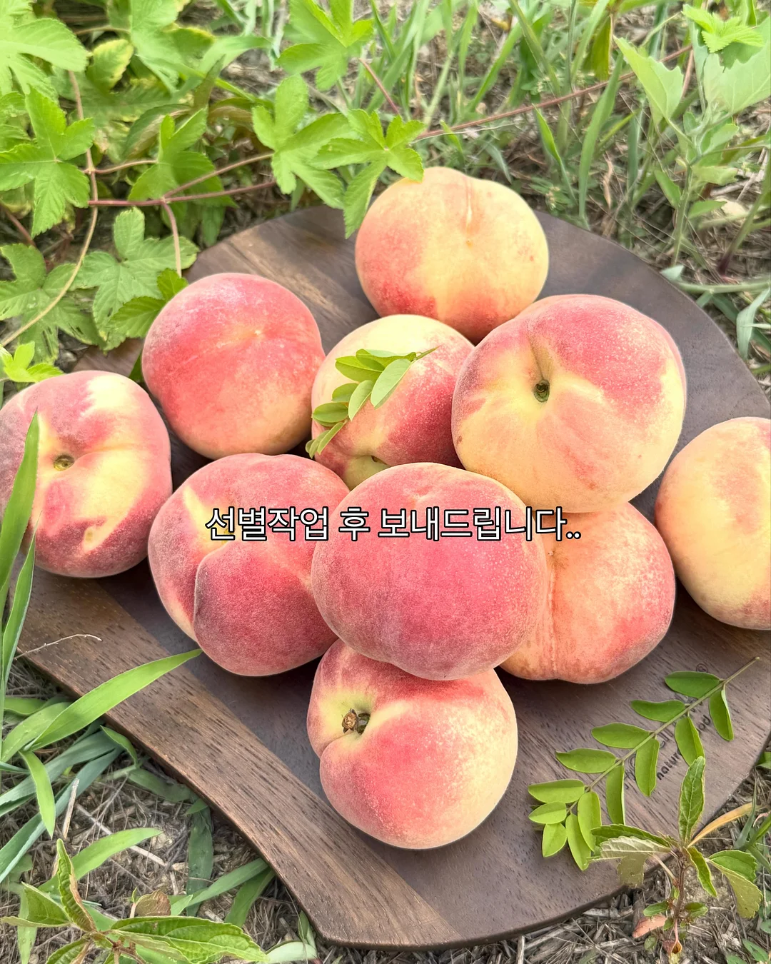 브리즈 산리오 키티 슬립온 3