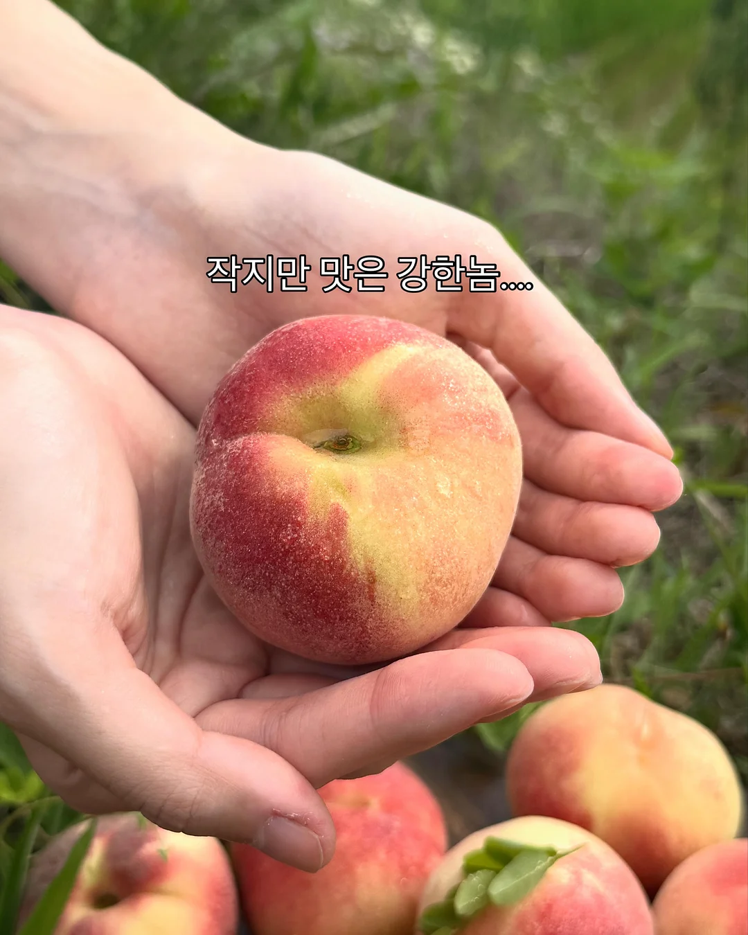 브리즈 산리오 키티 슬립온 4