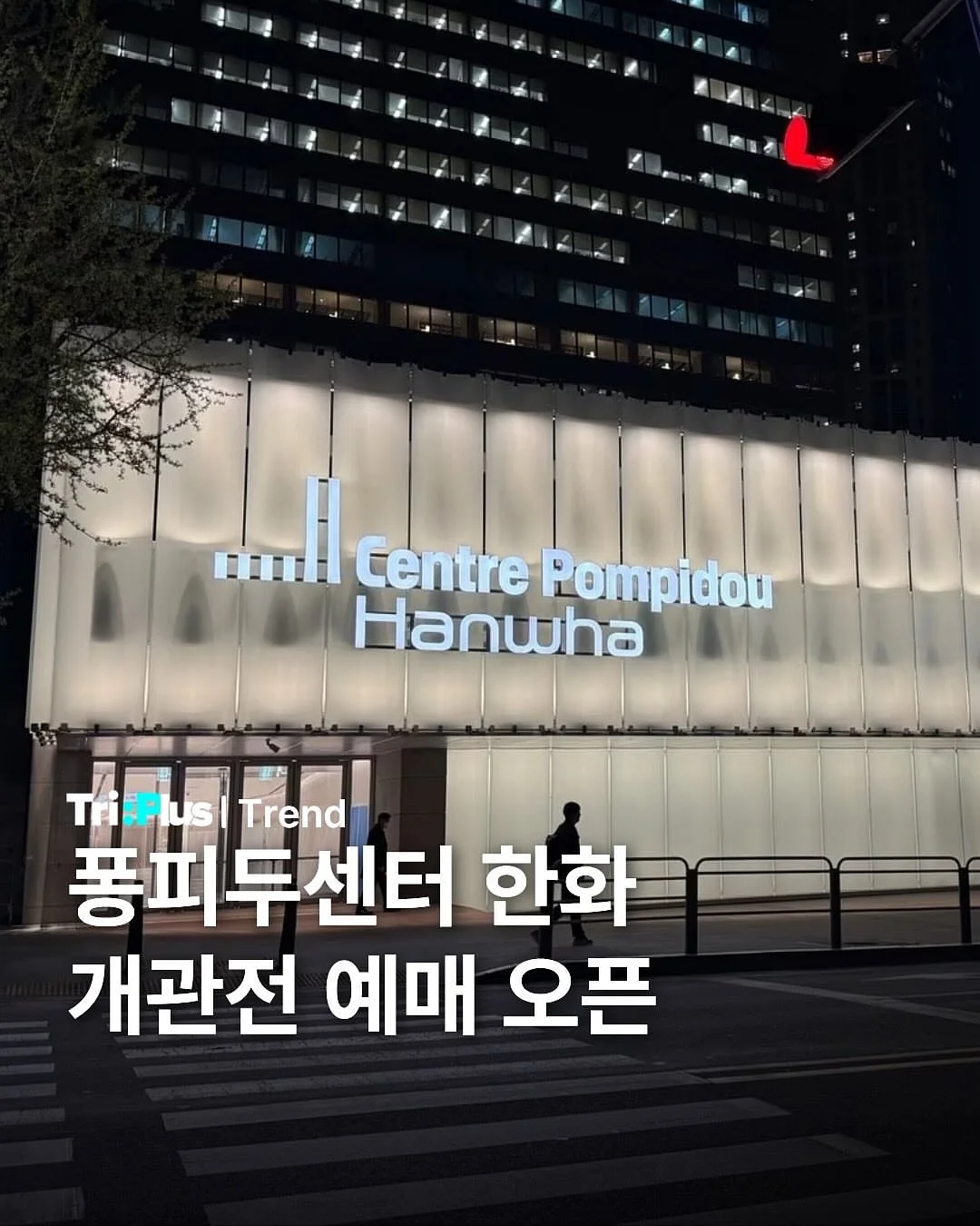 엘티 상의 1