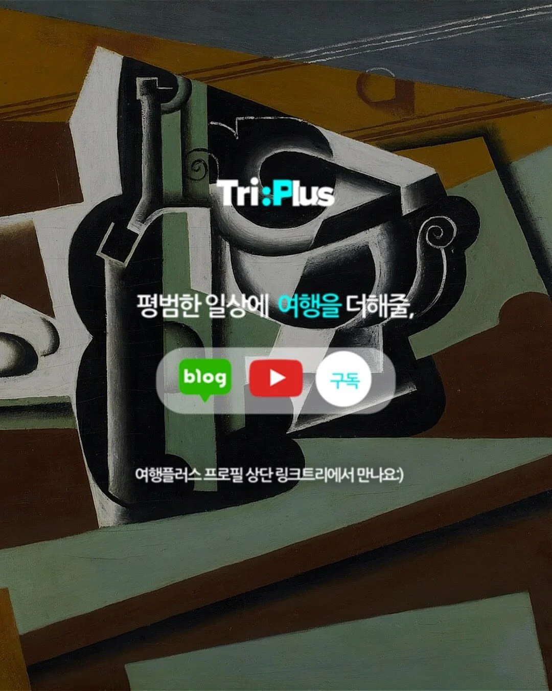 엘티 상의 5