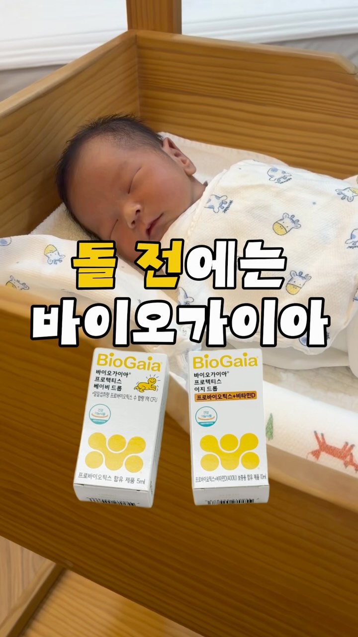 애견미용