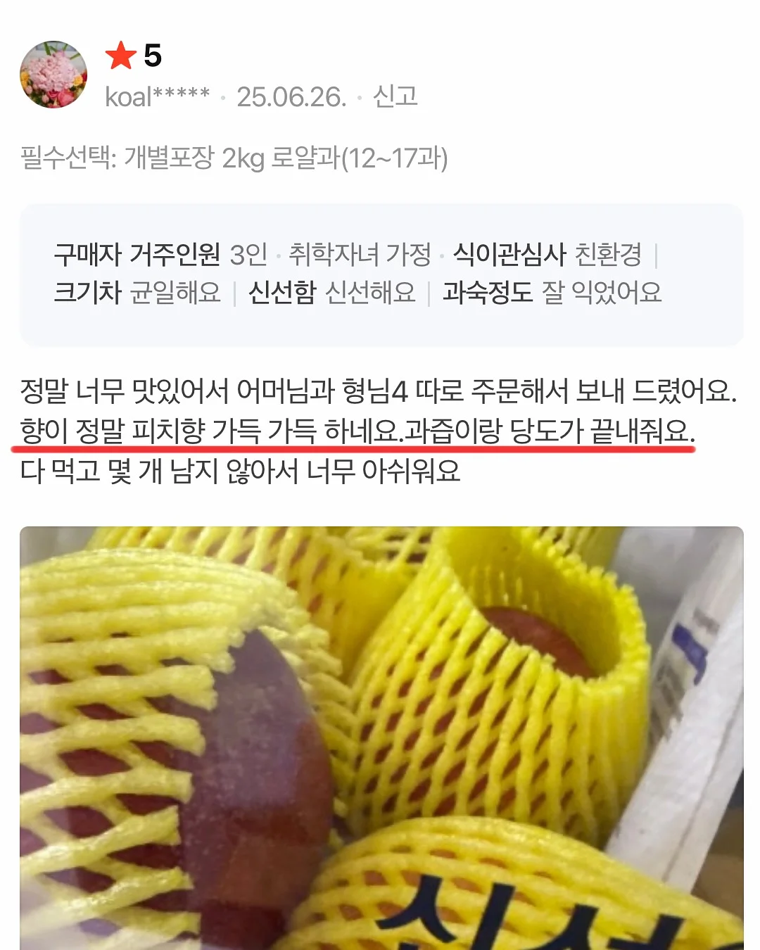 할로윈 어드벤트키트10장세트/사탕꽂이150장 11