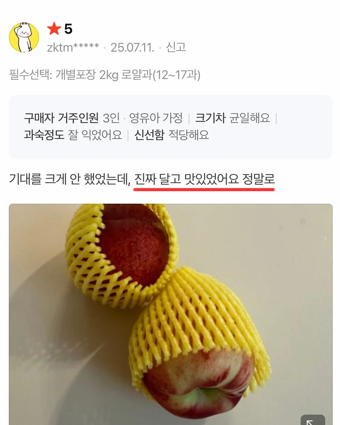 할로윈 어드벤트키트10장세트/사탕꽂이150장 12