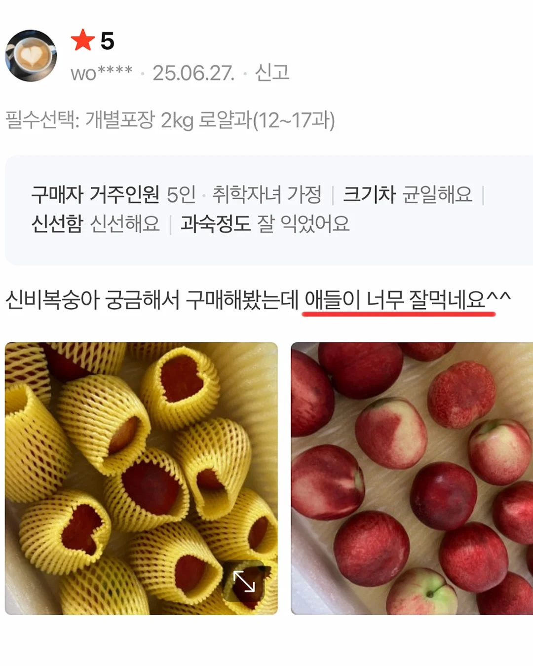 할로윈 어드벤트키트10장세트/사탕꽂이150장 13