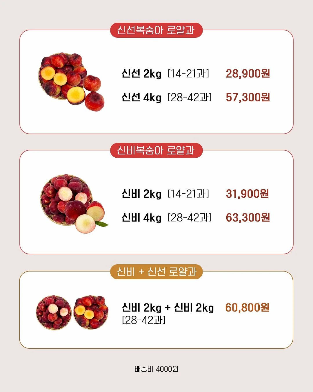 할로윈 어드벤트키트10장세트/사탕꽂이150장 20
