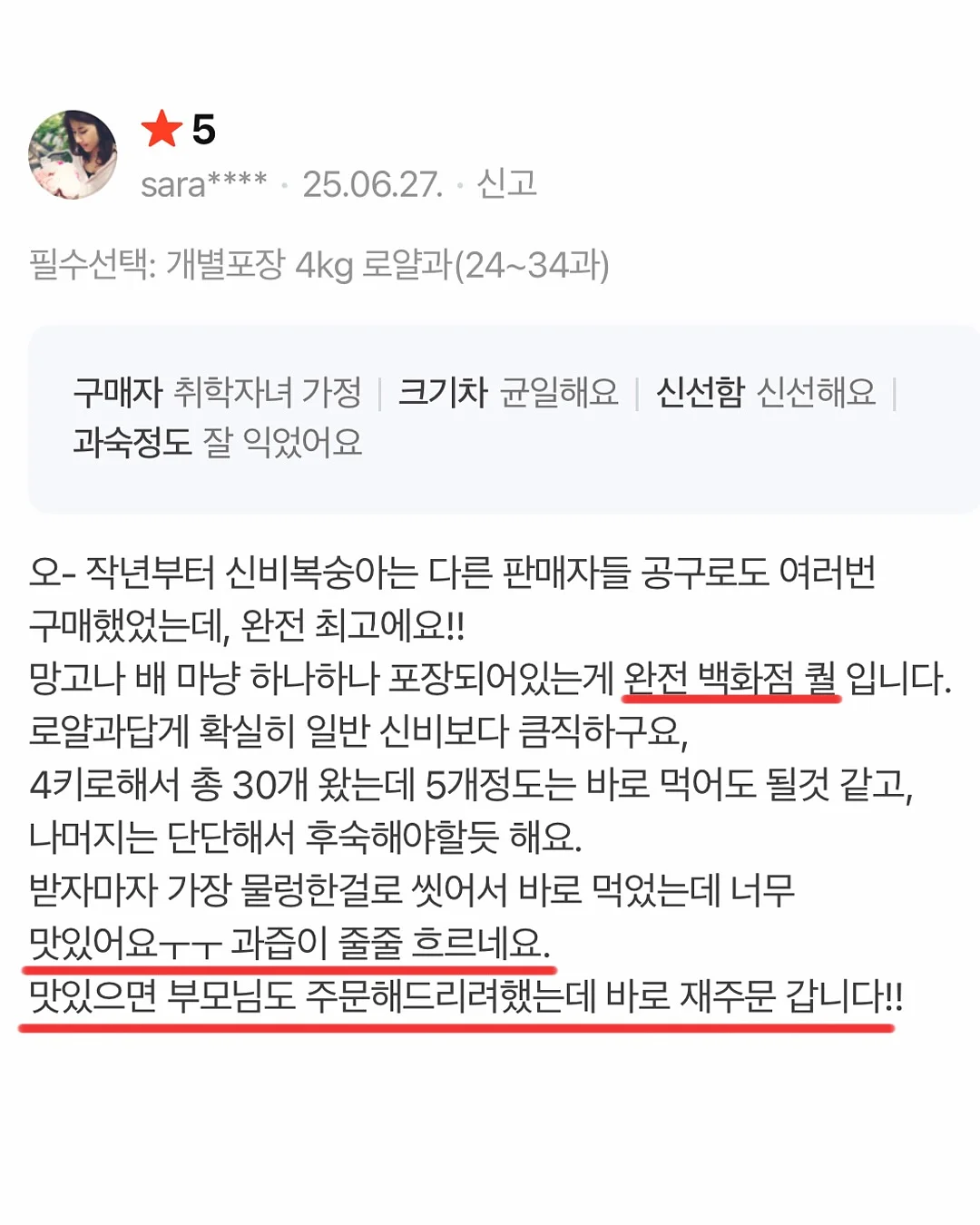 할로윈 어드벤트키트10장세트/사탕꽂이150장 4