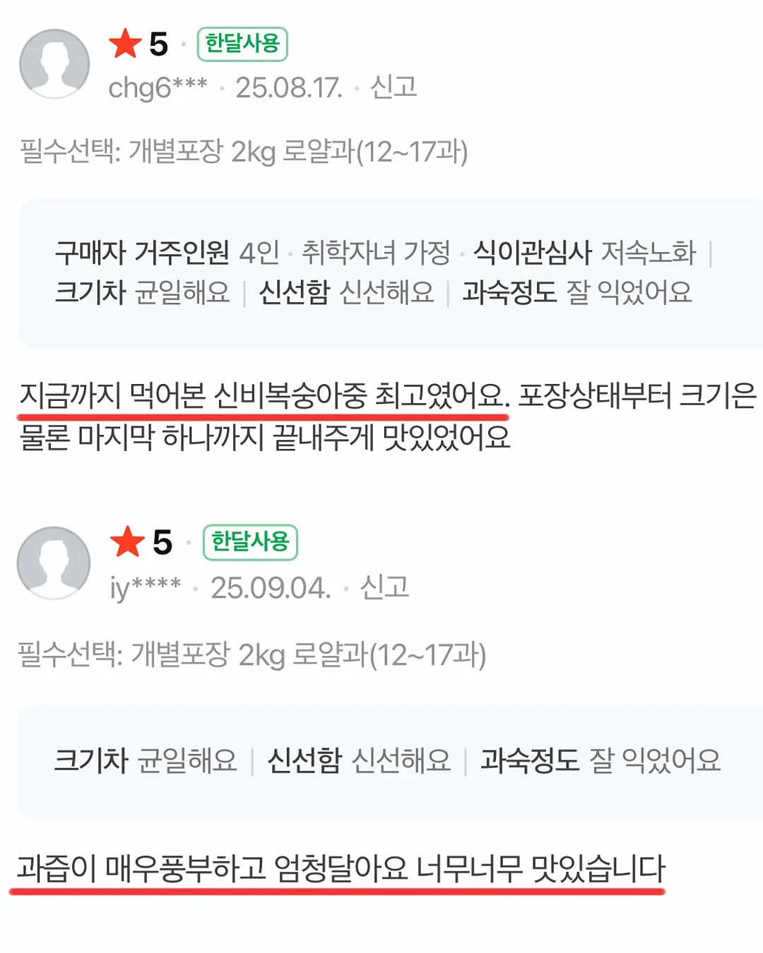 할로윈 어드벤트키트10장세트/사탕꽂이150장 5
