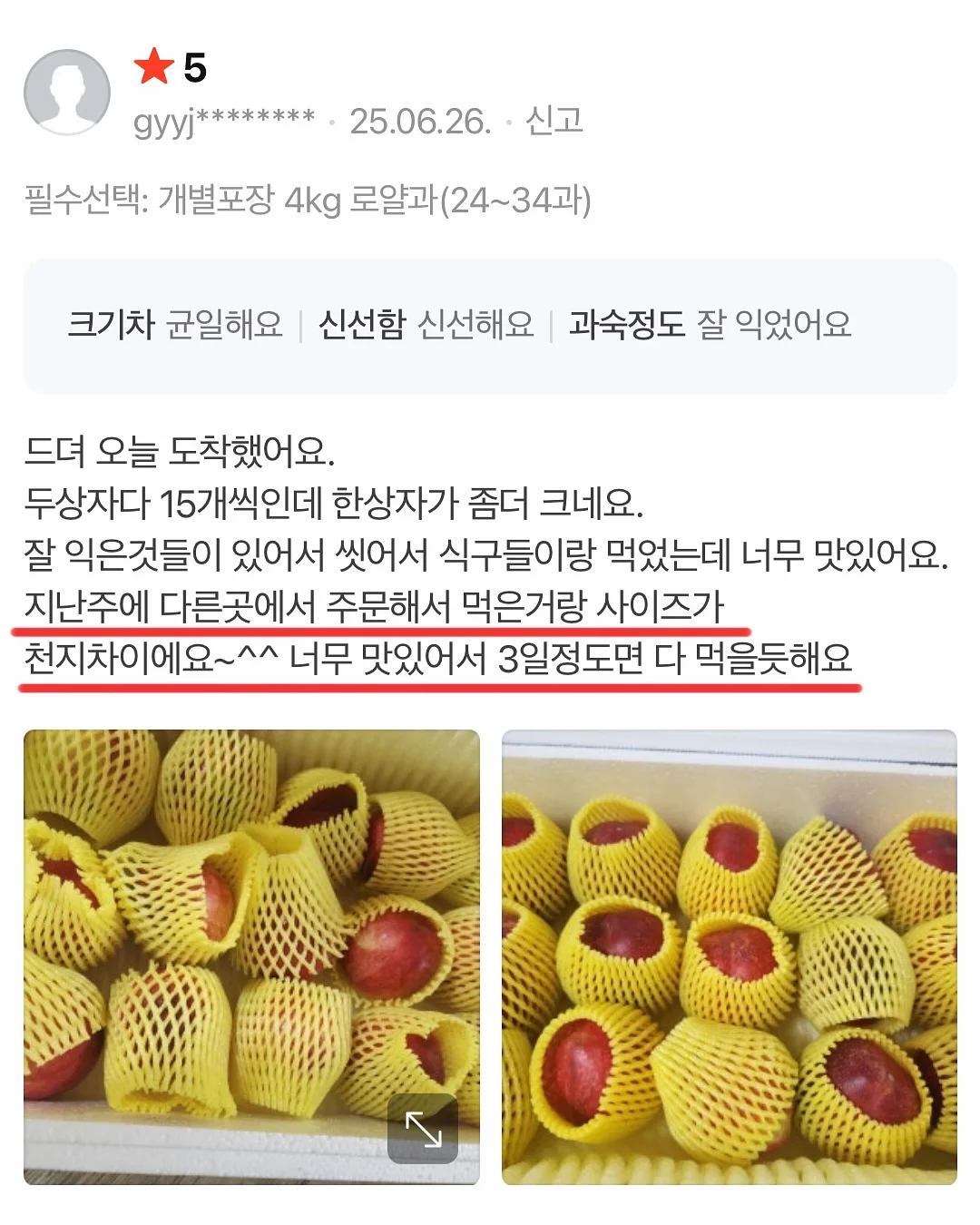 할로윈 어드벤트키트10장세트/사탕꽂이150장 7