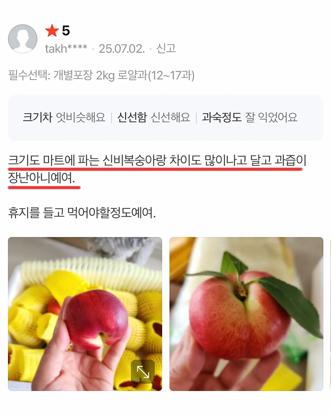 할로윈 어드벤트키트10장세트/사탕꽂이150장 8