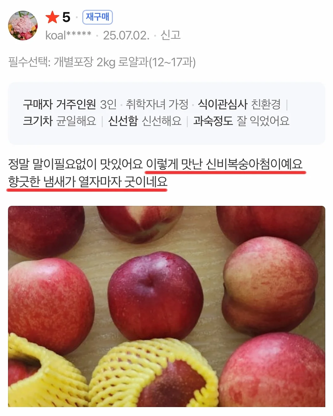 할로윈 어드벤트키트10장세트/사탕꽂이150장 9
