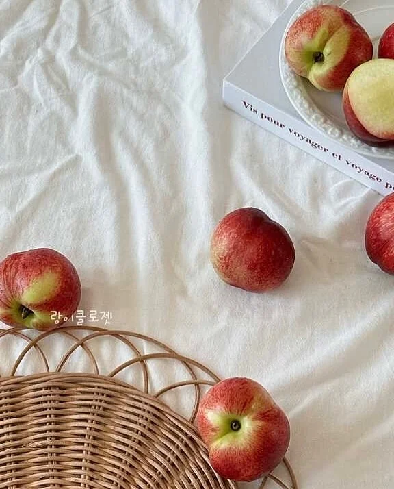 제이델링 불꽃케이크 2
