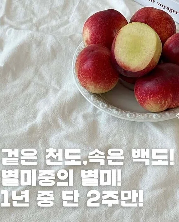 제이델링 불꽃케이크 3